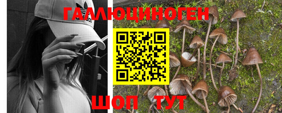 Галлюциногенные грибы MAGIC MUSHROOMS Батайск